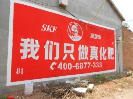 汝阳刷墙广告”蕴含了时代命题