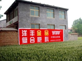汝阳如何让墙体广告展现最大化效果