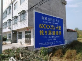 汝阳墙体广告质量分析