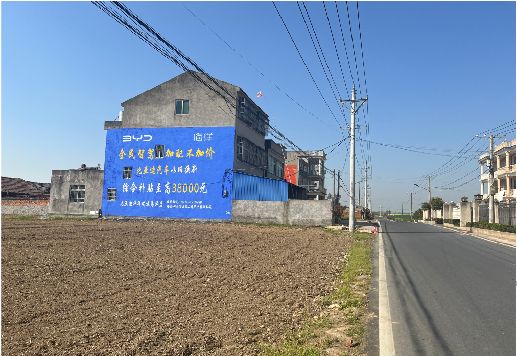 汝阳墙体广告用的是什么漆？