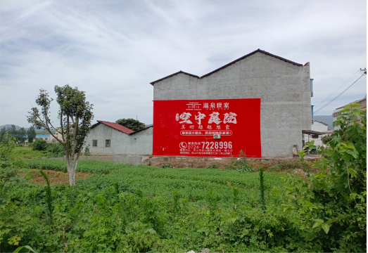 汝阳做墙体广告的意义